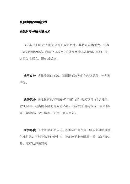 良种肉鸽养殖新技术