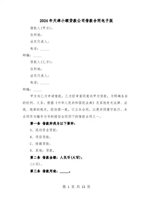 2024年天津小额贷款公司借款合同电子版（二篇）