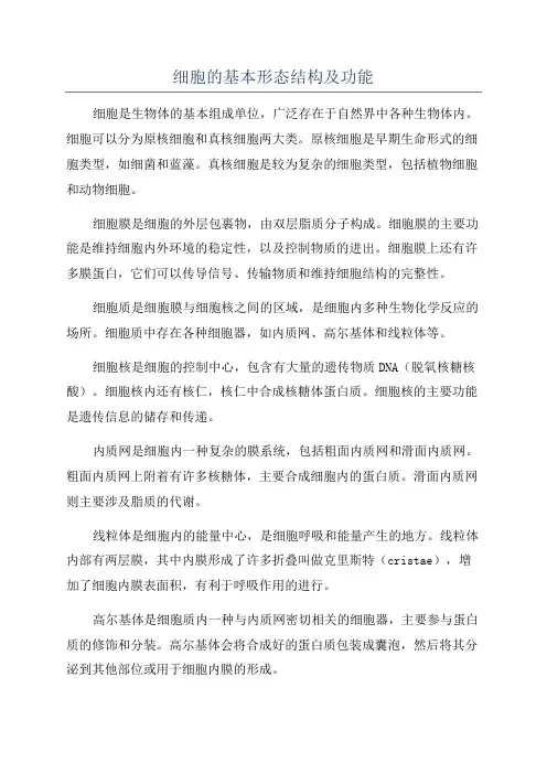 细胞的基本形态结构及功能