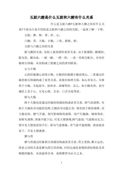 五脏六腑是什么五脏和六腑有什么关系