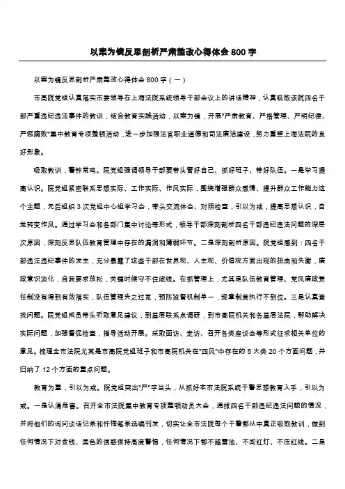 以案为镜反思剖析严肃整改心得体会800字