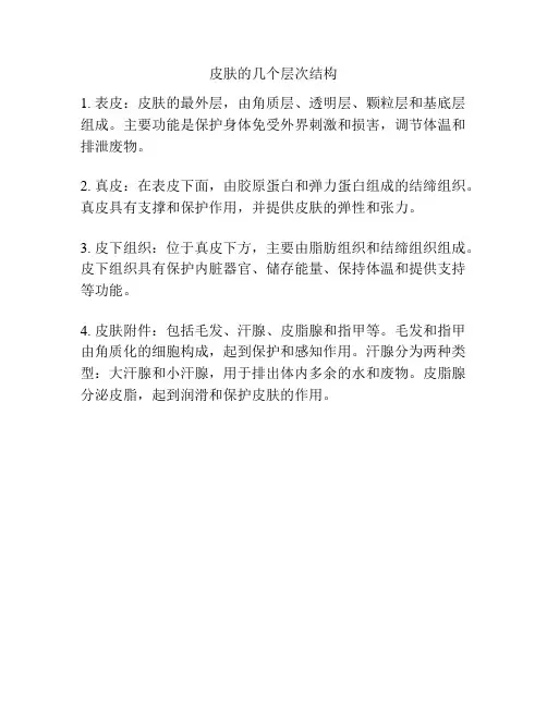 皮肤的几个层次结构