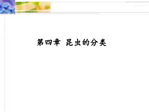 第四章_昆虫的分类介绍