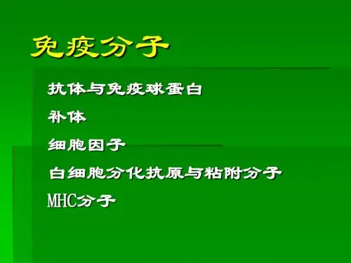 免疫学课件第三章抗体