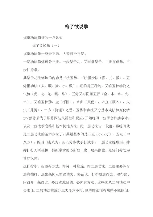 梅了欲说拳