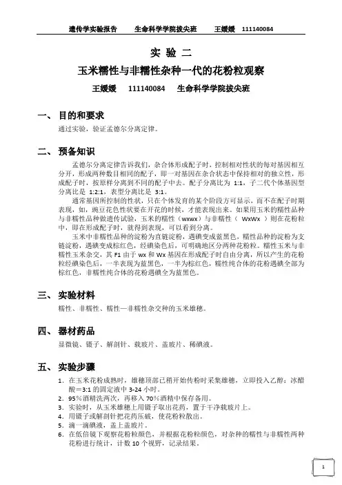遗传学实验报告二：玉米糯性与非糯性杂种一代的花粉粒观察
