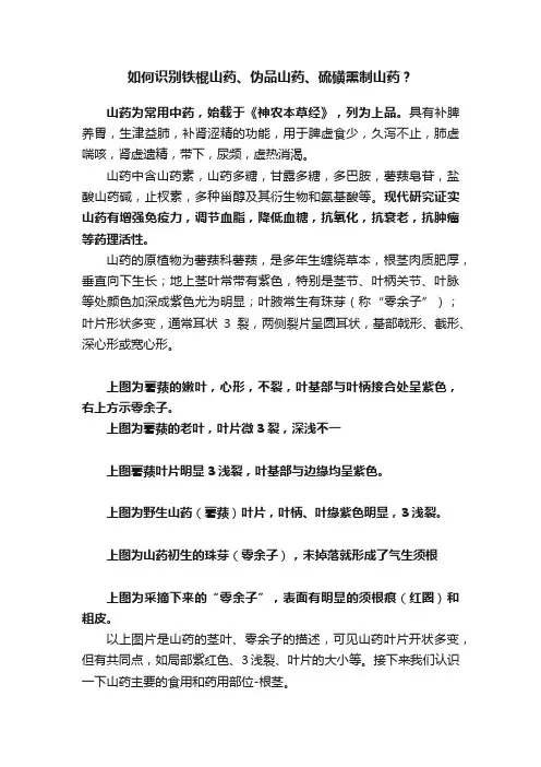 如何识别铁棍山药、伪品山药、硫磺熏制山药？
