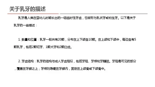 关于乳牙的描述