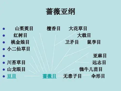 第八章-蔷薇亚纲(一)