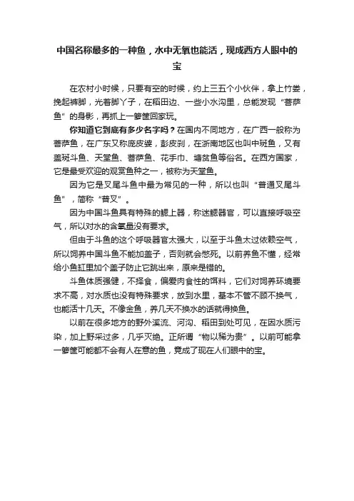 中国名称最多的一种鱼，水中无氧也能活，现成西方人眼中的宝
