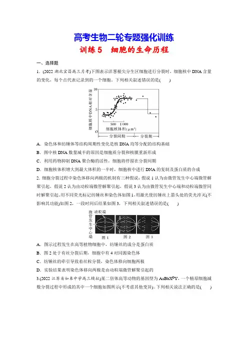 高考生物二轮专题强化训练5 细胞的生命历程