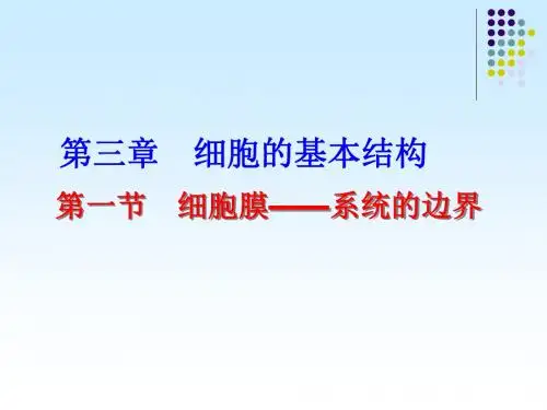 细胞膜——系统的边界ppt30 优秀课件