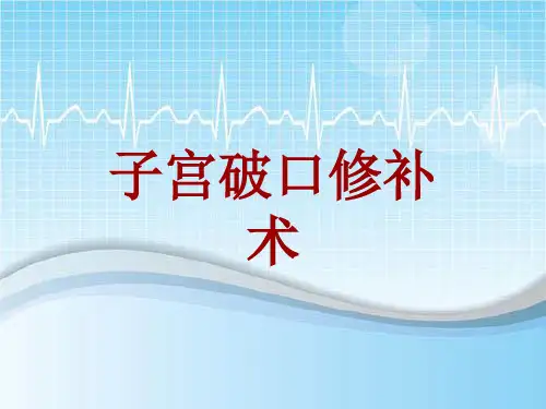 外科手术教学资料：子宫破口修补术讲解模板