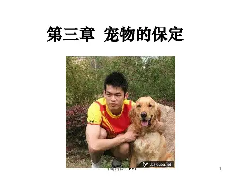 第三章 宠物的保定PPT课件