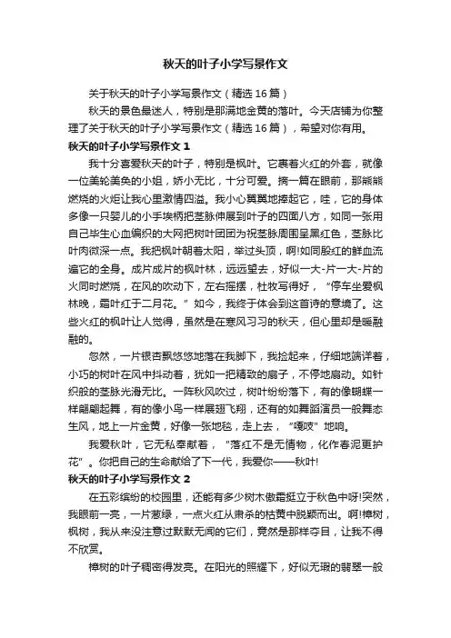 秋天的叶子小学写景作文