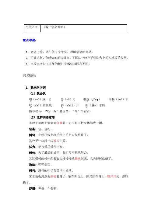 语文三年级上册知识讲义(附同步练习)9《那一定会很好》-部编版