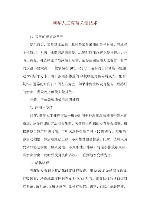 刺参人工育苗关键技术