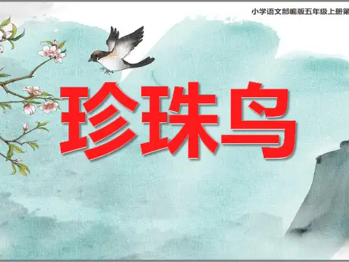 珍珠鸟 教学课件(共26张PPT)