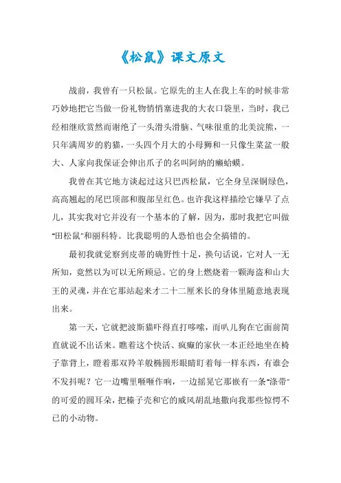 《松鼠》课文原文