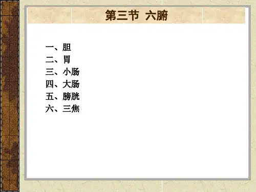 最新中医学基础-2-3六腑和奇恒之腑-PPT文档