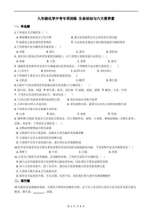 九年级化学中考专项训练 生命活动与六大营养素