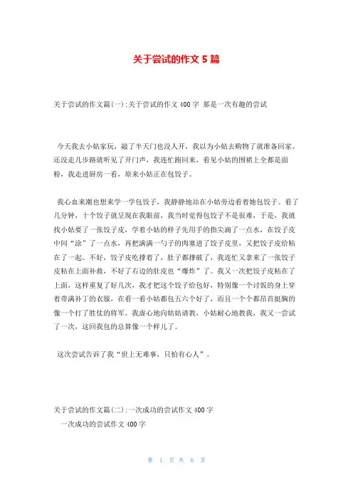 关于尝试的作文5篇