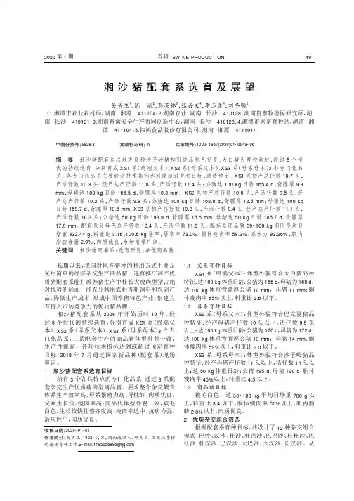 湘沙猪配套系选育及展望