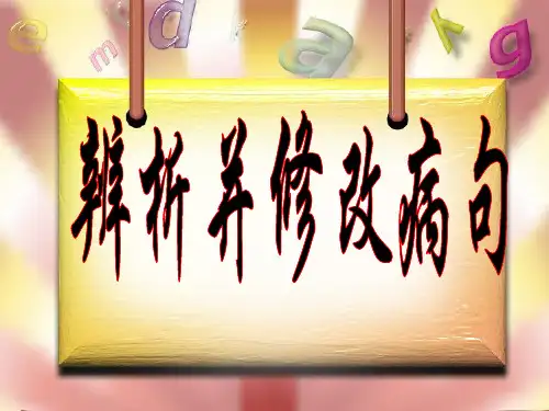 辨析并修改病句表意不明 优质课件