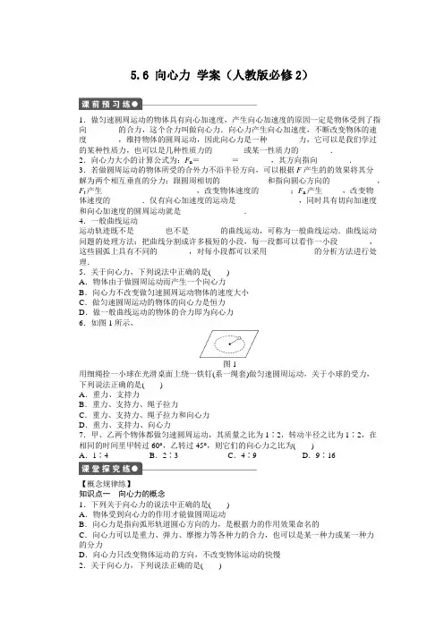 高一物理新人教版必修二学案 5.6 向心力(2篇)