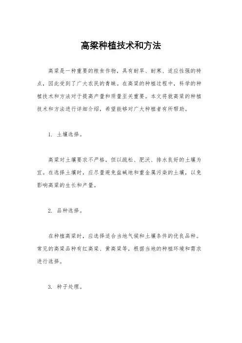 高粱种植技术和方法