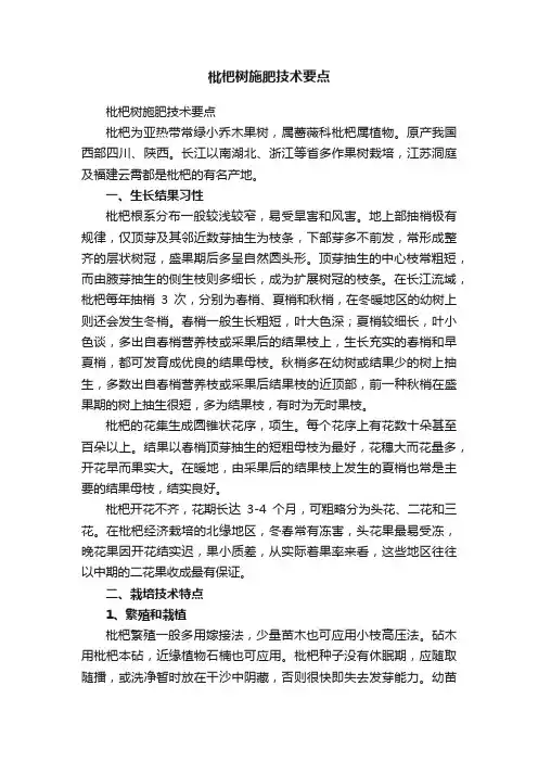 枇杷树施肥技术要点