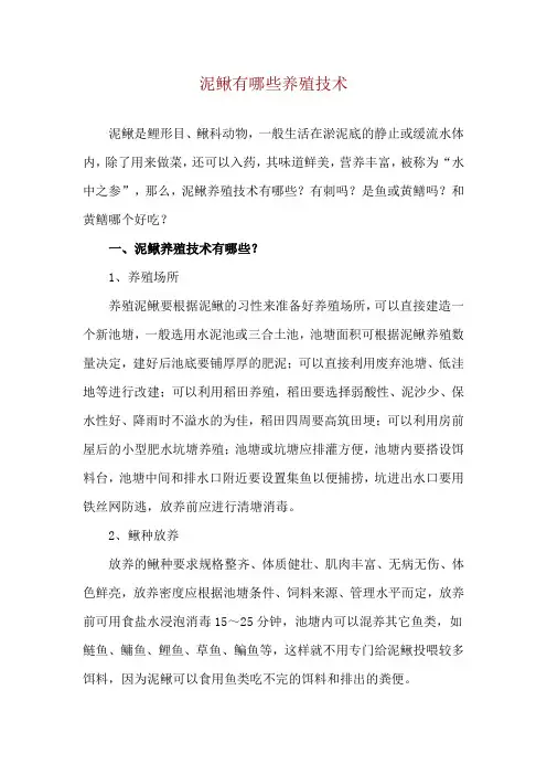 泥鳅有哪些养殖技术