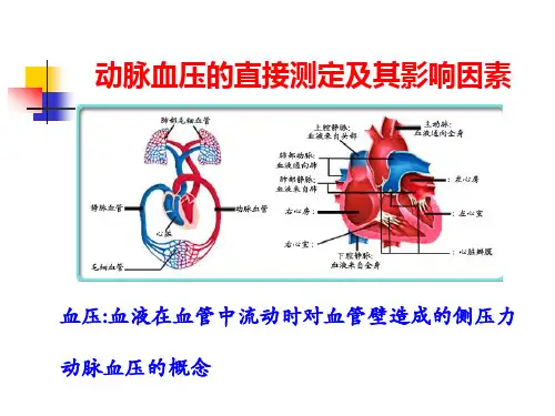 实验三：家兔动脉血压的测定