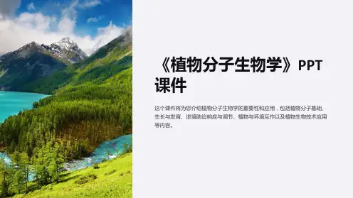 《植物分子生物学》课件