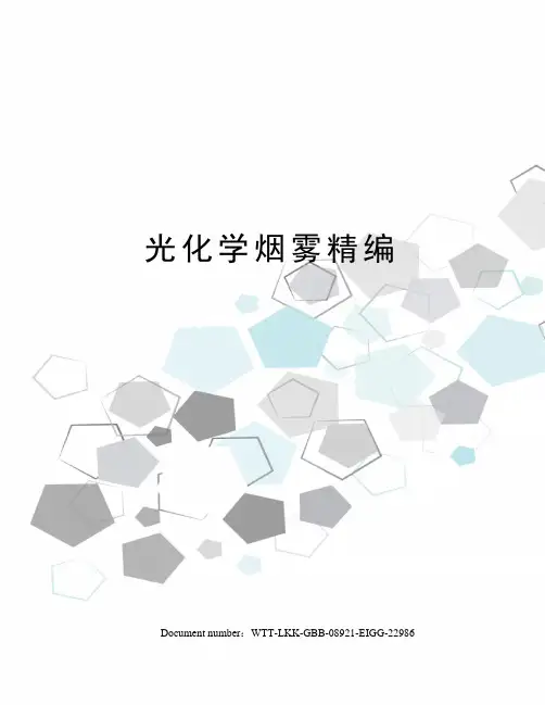 光化学烟雾精编