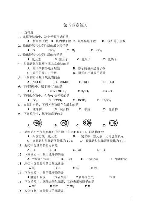 第五六章练习   元素分子原子离子