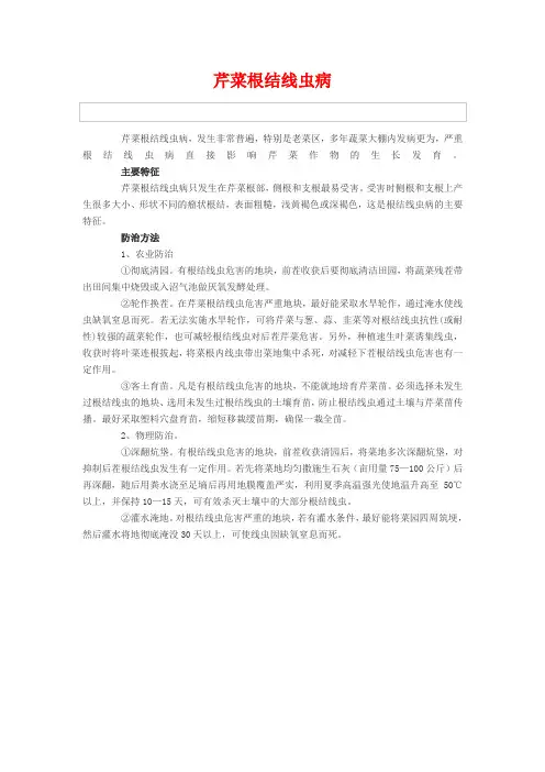 芹菜根结线虫病