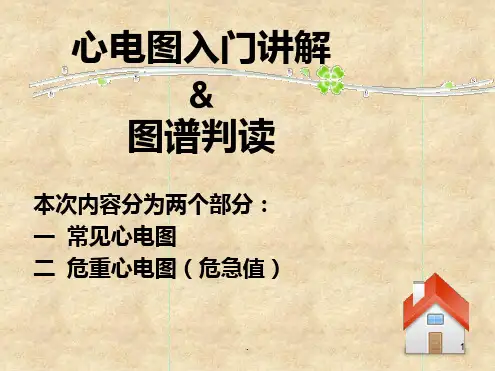 心电图入门讲解ppt课件