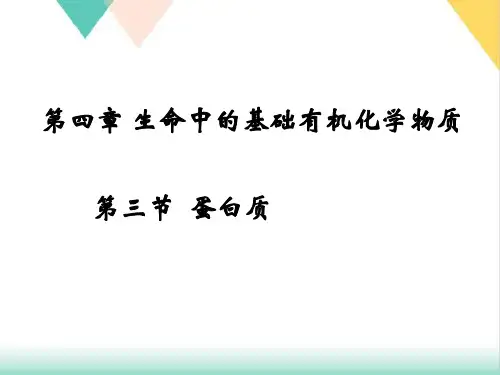 人教版高中化学选修五蛋白质和核酸PPT课件