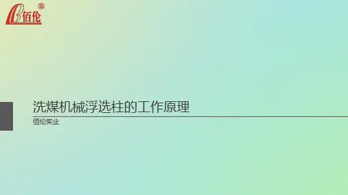 洗煤机械浮选柱的工作原理