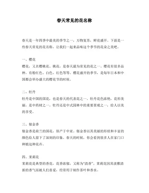 春天常见的花名称