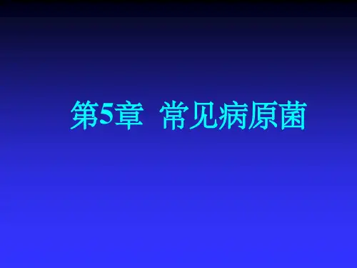 常见病原菌