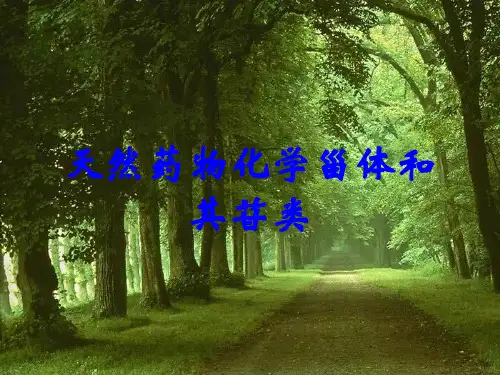 天然药物化学甾体和其苷类