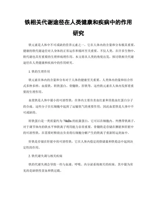 铁相关代谢途径在人类健康和疾病中的作用研究