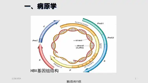 中国慢性乙肝防治指南