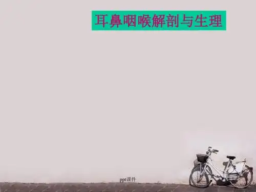 耳鼻咽喉解剖与生理--鼻的解剖及生理  ppt课件