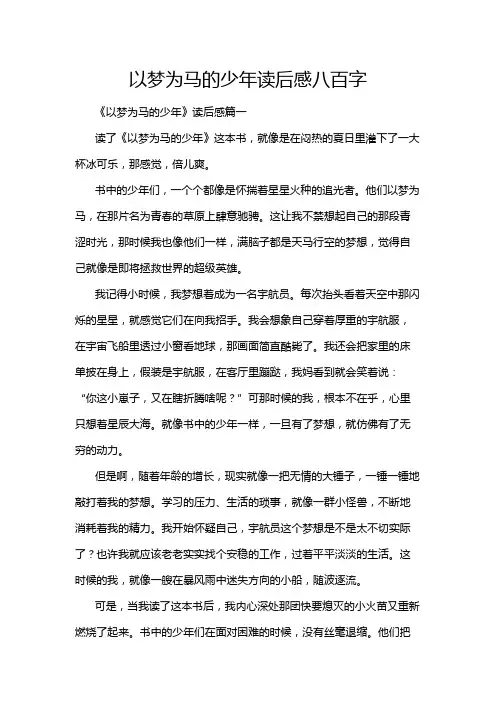 以梦为马的少年读后感八百字