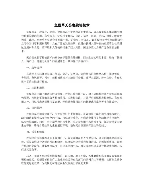 鱼腥草无公害栽培技术