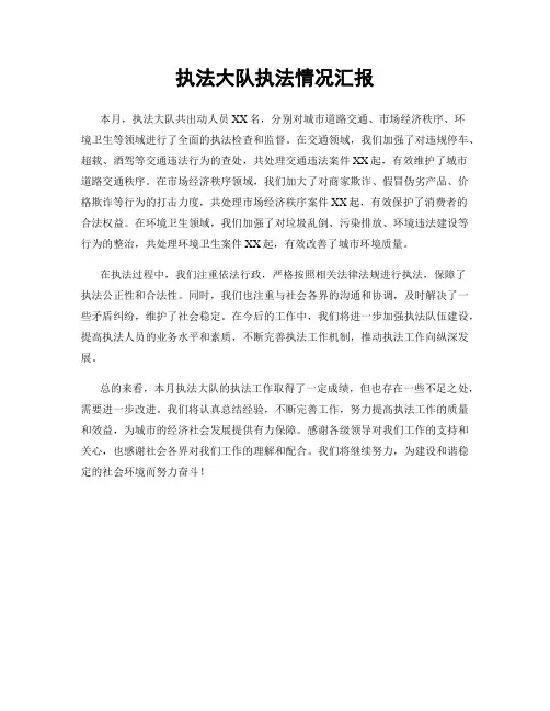 执法大队执法情况汇报