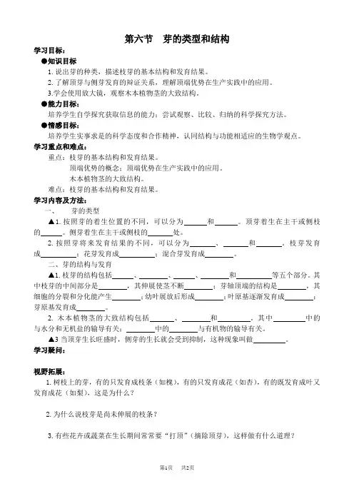 第六节芽的类型和结构学案济南版初中生物初二八年级 
